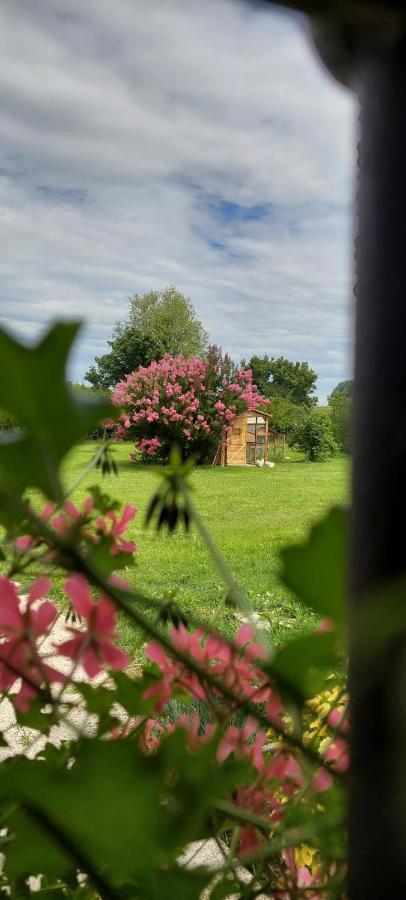 Corte Ventaglio Campitello  Εξωτερικό φωτογραφία