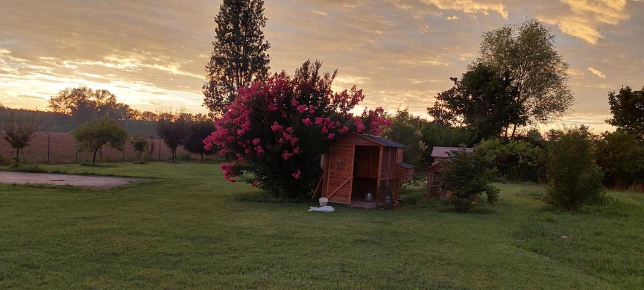 Corte Ventaglio Campitello  Εξωτερικό φωτογραφία