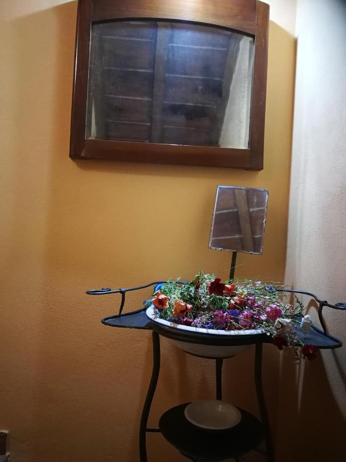 Corte Ventaglio Campitello  Εξωτερικό φωτογραφία